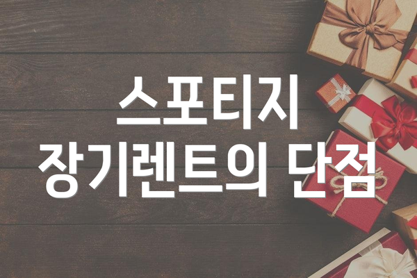 스포티지 장기렌트의 단점