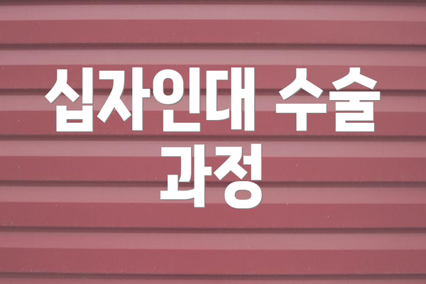 십자인대 수술 과정