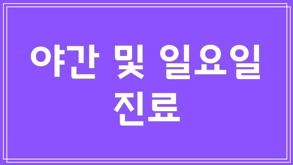 야간 및 일요일 진료