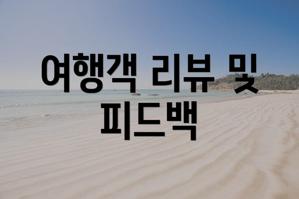 여행객 리뷰 및 피드백