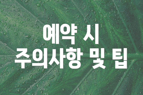 예약 시 주의사항 및 팁