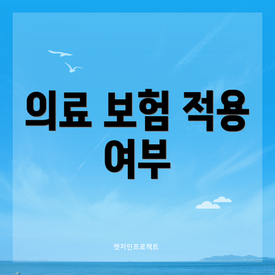 의료 보험 적용 여부