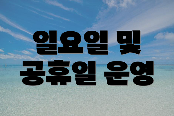 일요일 및 공휴일 운영