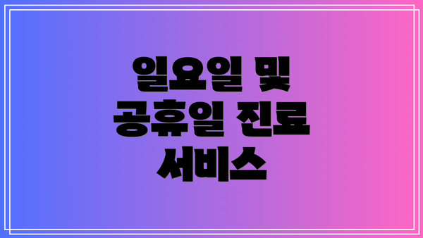 일요일 및 공휴일 진료 서비스
