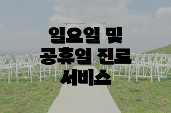 일요일 및 공휴일 진료 서비스