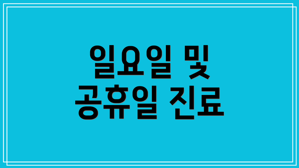 일요일 및 공휴일 진료