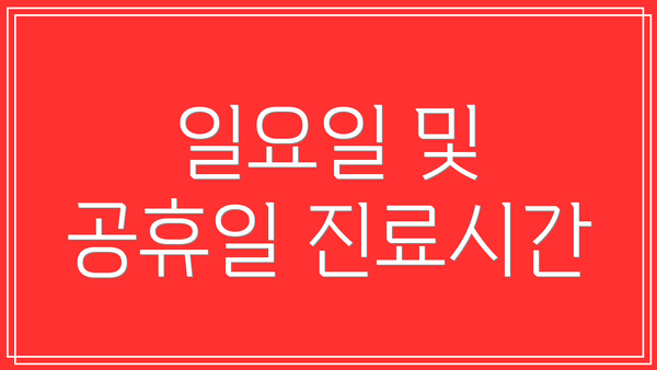 일요일 및 공휴일 진료시간