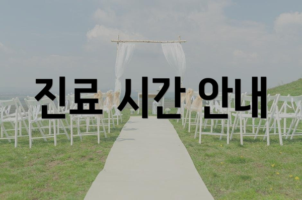 진료 시간 안내