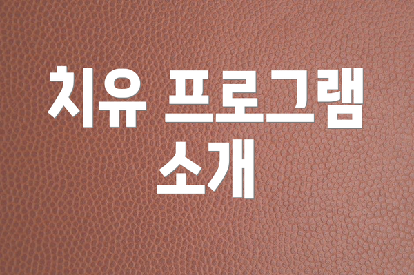 치유 프로그램 소개