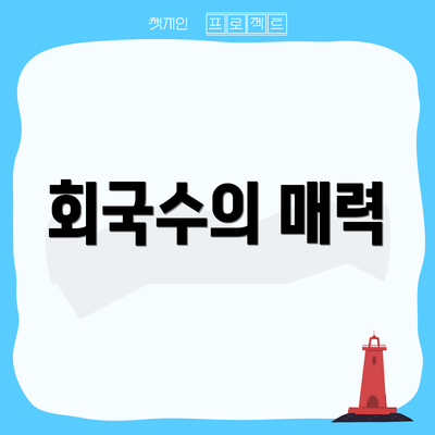 회국수의 매력