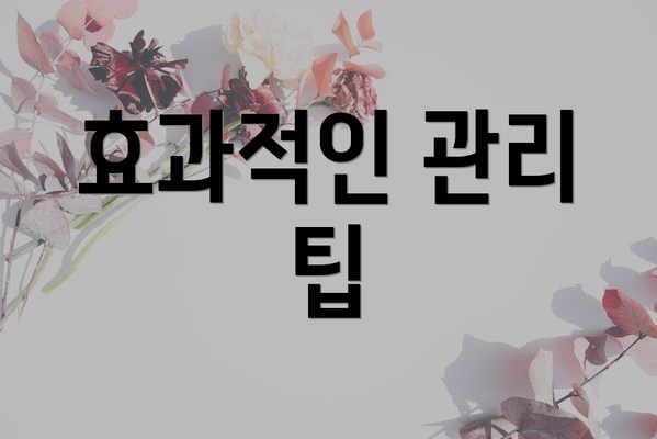 효과적인 관리 팁