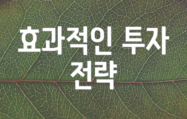 효과적인 투자 전략