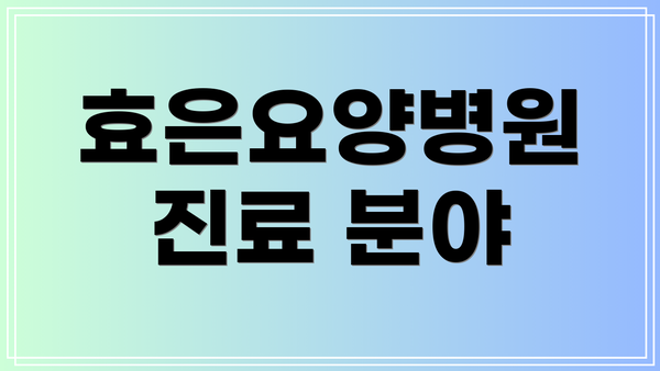 효은요양병원 진료 분야