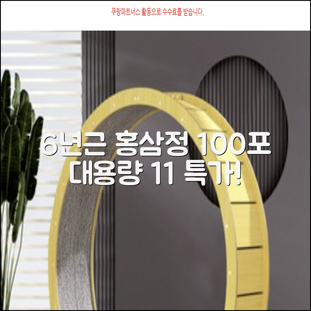 [1+1 특가] 홍삼정 6년근 하루한포 100회분 대용량+쇼핑백, 2개, 1L 추천 리뷰