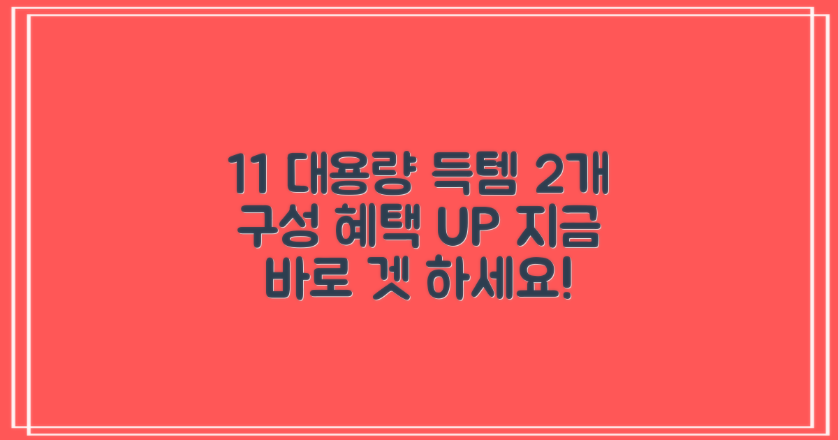 1+1 대용량, 2개 구성